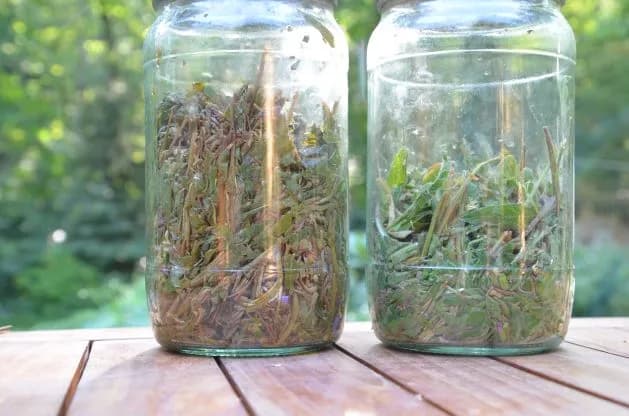 Jak zrobić czaj z herbaty – prosty przepis na tradycyjny rosyjski napar Jak zrobić czaj z herbaty – prosty przepis na tradycyjny rosyjski napar