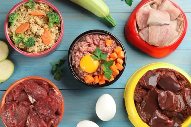 Co ugotować dla psa, aby zapewnić mu zdrową i smaczną dietę? Co ugotować dla psa, aby zapewnić mu zdrową i smaczną dietę?