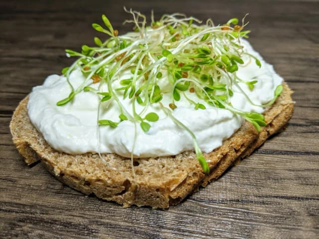 Jak zrobić ser kozi bez podpuszczkowy - alternatywy i przepisy bez rennet Jak zrobić ser kozi bez podpuszczkowy - alternatywy i przepisy bez rennet