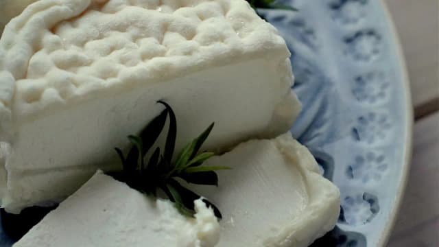 Ser kozi pleśniowy: wyjątkowe smaki i sekrety produkcji Ser kozi pleśniowy: wyjątkowe smaki i sekrety produkcji