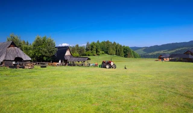 Bacówka u Wojtka - tradycyjne sery i niezapomniane widoki Bacówka u Wojtka - tradycyjne sery i niezapomniane widoki